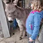 Relax Marjanca Rogaska Slatina