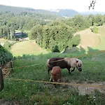 Relax Marjanca Rogaska Slatina