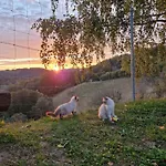 Relax Marjanca 4* Rogaska Slatina