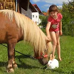 Relax Marjanca Guest house Rogaska Slatina