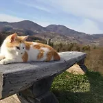 Relax Marjanca 4* Rogaska Slatina