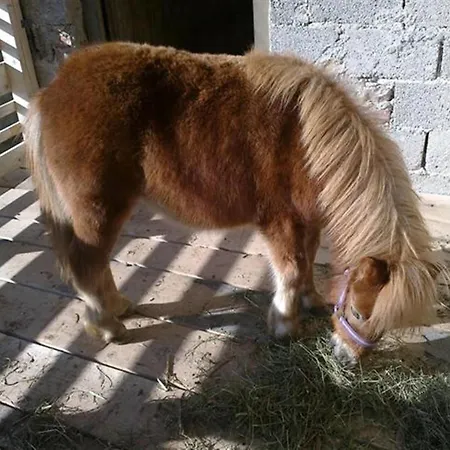 Relax Marjanca Rogaška Slatina