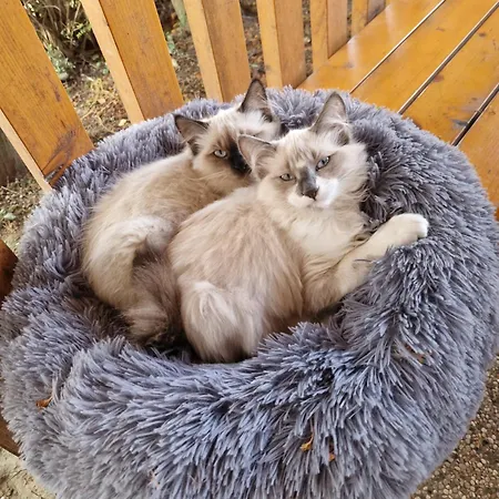 Relax Marjanca Πανσιόν Rogaška Slatina