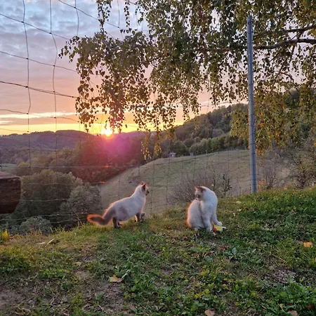 Relax Marjanca 4* Rogaška Slatina