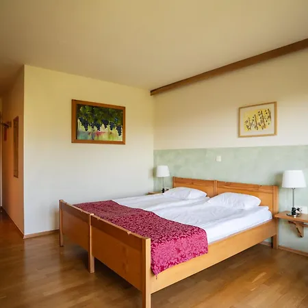 Πανσιόν Relax Marjanca Rogaška Slatina