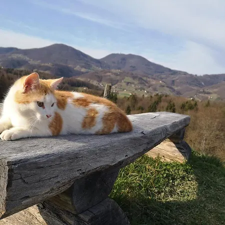 Relax Marjanca 4* Rogaška Slatina