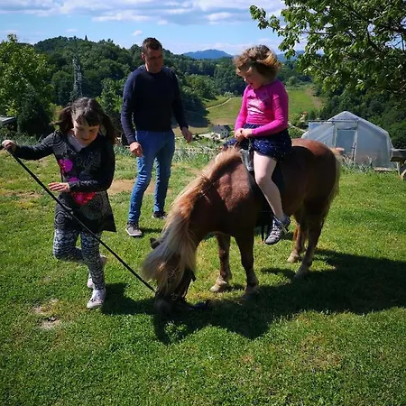 Relax Marjanca Πανσιόν Rogaška Slatina