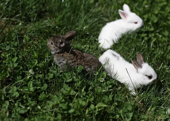Relax Marjanca Rogaška Slatina