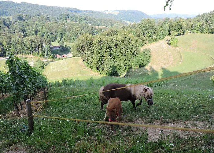 Relax Marjanca Rogaška Slatina