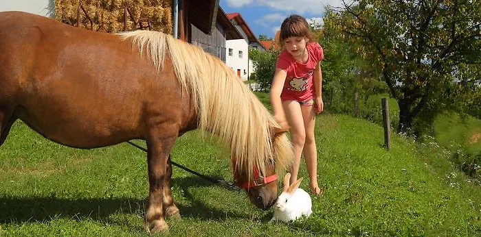 Relax Marjanca Gasthuis Rogaška Slatina